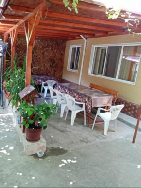 Casa Otilia
